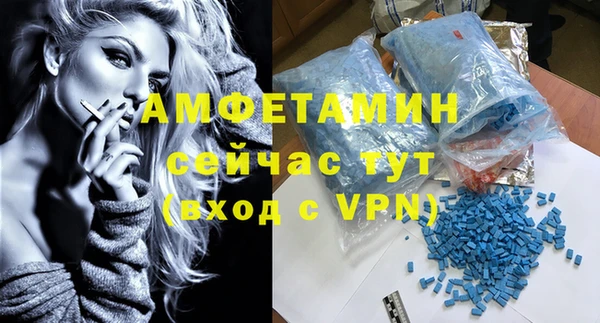 твердый Абаза