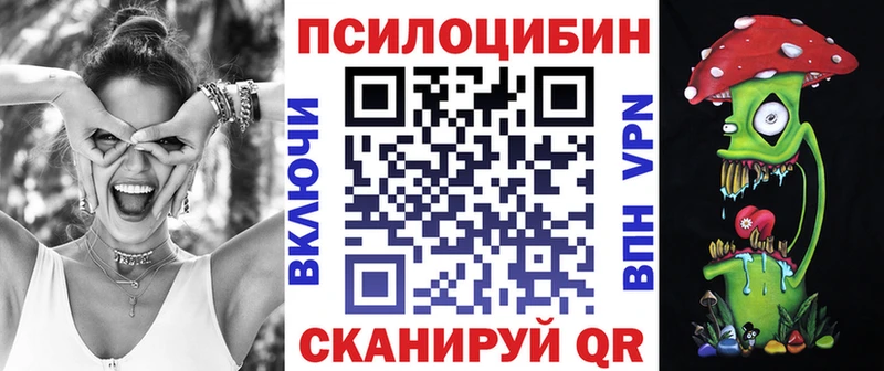 Псилоцибиновые грибы Psilocybe  shop формула  Тында 